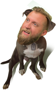 Spencer-Dog Spencer-Dog